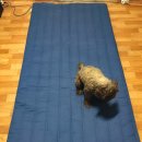 D00235 | 전기요 만족하는 슬립메이트