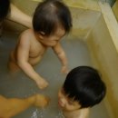 아라리미인탕 이미지