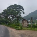 여주-0445 이미지