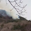 초읍동-12 이미지