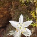 무갑리보건진료소 이미지