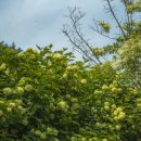 성지태권도 이미지