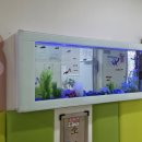 원삼시립어린이집 이미지