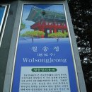 월송정月松亭 이미지