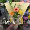 모닝프라자 | 용인 동백 졸업식 연주회 꽃다발 기념일 가성비 내일도꽃모닝