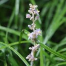 더 남산 이미지