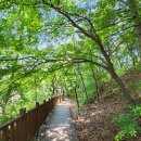 푸른자연 이미지