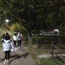 신라의달밤