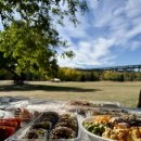 태양 동물병원 | 캐나다 워홀 생존 후기