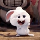 달하나빛 이미지