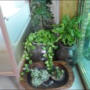 언덕위에바다 이미지