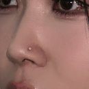 슈가앤라인 이미지