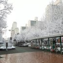 백석고등학교 후문 이미지