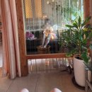 추나안마원 이미지