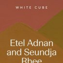 화이트큐브 이미지