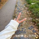 조아세탁 | 가을조아인간