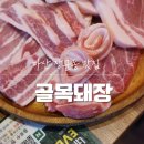 [마산 장군동 맛집] 골목돼장, 통돼지근고기 세트 룸식당 단체회식 후기