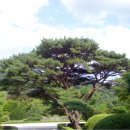 마음의 문 이미지