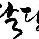 달당 이미지