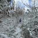 문금 농장 이미지