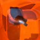 속초바다풍경펜션 | 속초 낚시 여행 및 속초바다풍경펜션