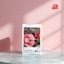 주식회사 모건 이미지