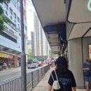 홍샌드 | 홍콩 케네디타운 농구코트 후기(+홍콩샌드플라이 왕창 물리다)_260524
