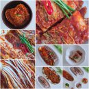 빛고을식품 | 빛고을김치 전라도 김치 10kg / 김장김치 배추김치 김치주문