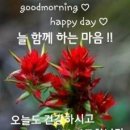 시절인연 이미지