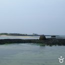 (사) 문화마을 제주 이미지