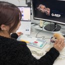 녹십자 동물병원 이미지