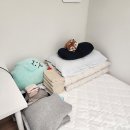 내돈내산 미소 원룸 자취방 3H 청소 후기 &amp; 미소 첫 예약 할인 쿠폰 5,000원