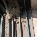 시민로205번길 이미지