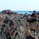 종달리 생개납 돈짓당 이미지