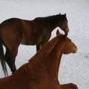 세상목장 이미지