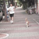 궁내초교 이미지