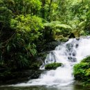 분당미켈란치과의원 이미지