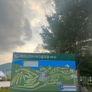 비타파크골프채 들고 화천 파크골프장 다녀온 후기 (내돈내산)