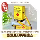 효소먹은돼지 | 카무트 효소 고르는 법 | 효능 다이어트 소화 사용 후기 제품 추천