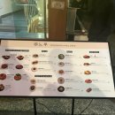 느루 | 대전 갈마동맛집 느루 청첩장모임 후기