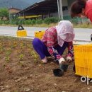 화남면주민센터 이미지