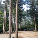 봉평마가리 캠핑장 이미지