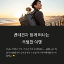남해갯마을하우스 | 반려견 동반 가능 국내 숙소 10선