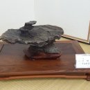 한국수