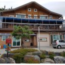 대천통나무소나무펜션 이미지