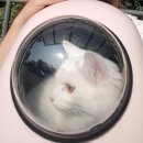 제일종합동물병원 이미지