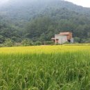 가평독채펜션힐링하우스 이미지