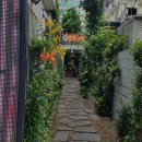 연제구-098 이미지