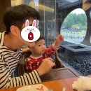 해피라이프 솔루션 | 주간기록_10월 첫째주