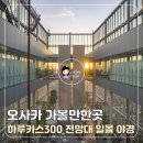 일몰전망대 | 오사카 가볼만한곳 하루카스 300 전망대 입장권 예약 일몰 야경 관람후기